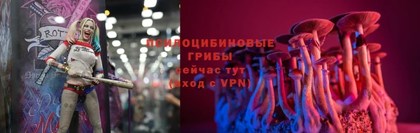 мяу мяу мука Надым