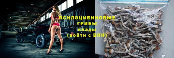 мяу мяу мука Надым